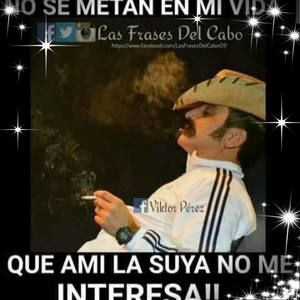 Meet your Posher, Armando